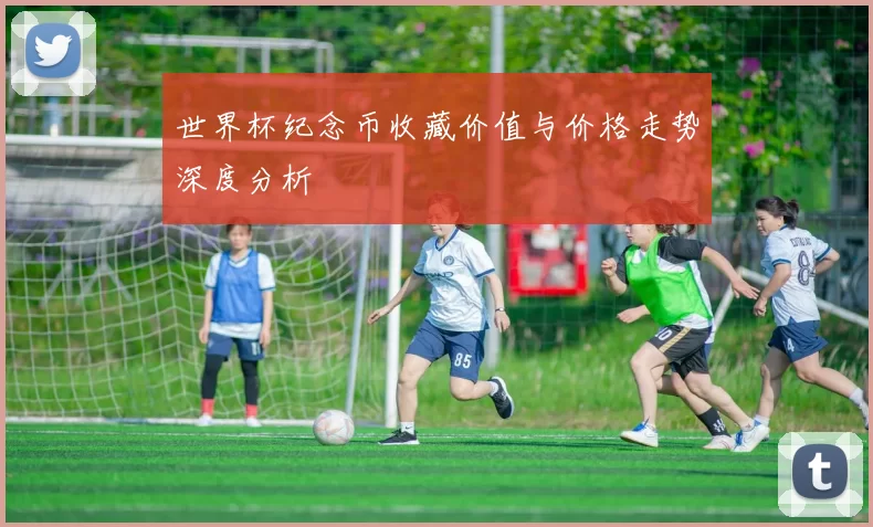 世界杯纪念币收藏价值与价格走势深度分析