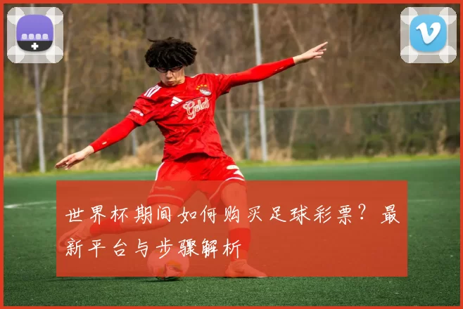 世界杯期间如何购买足球彩票?最新平台与步骤解析