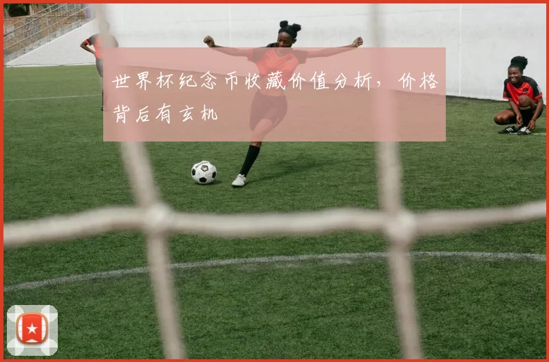 世界杯纪念币收藏价值分析,价格背后有玄机
