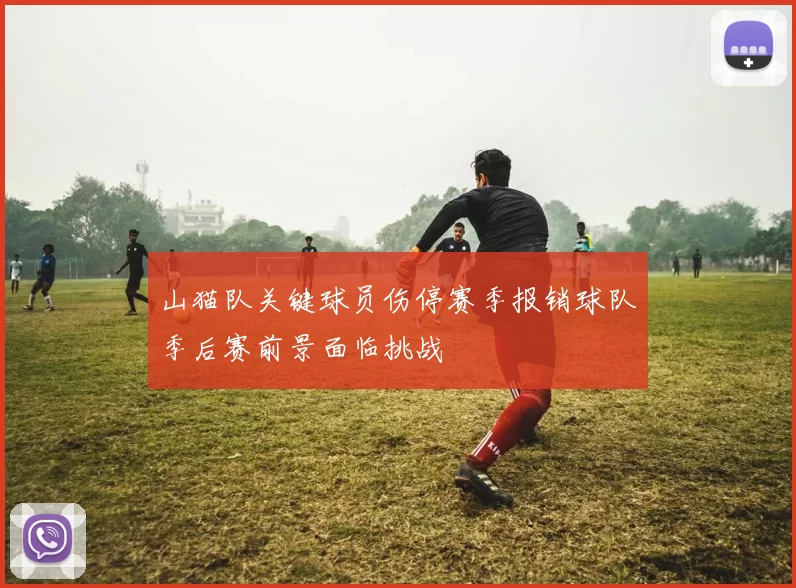 山猫队关键球员伤停赛季报销球队季后赛前景面临挑战