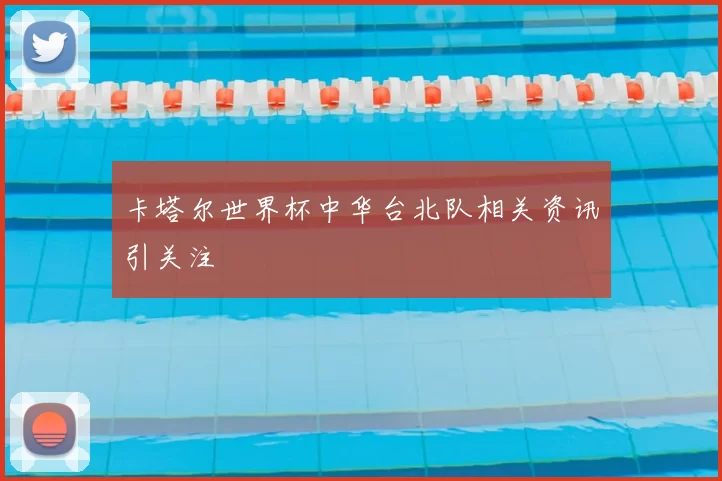 卡塔尔世界杯中华台北队相关资讯引关注