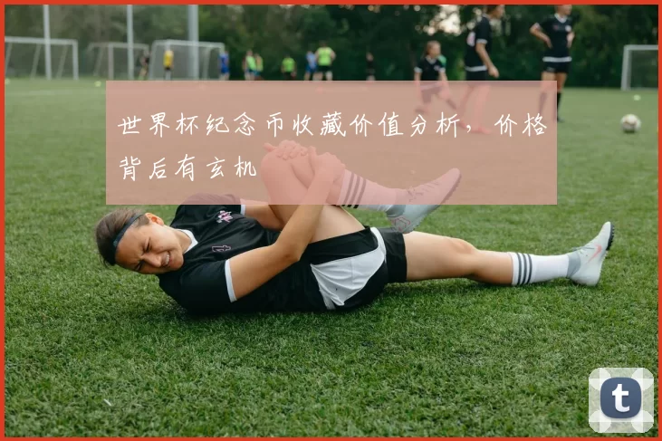世界杯纪念币收藏价值分析,价格背后有玄机