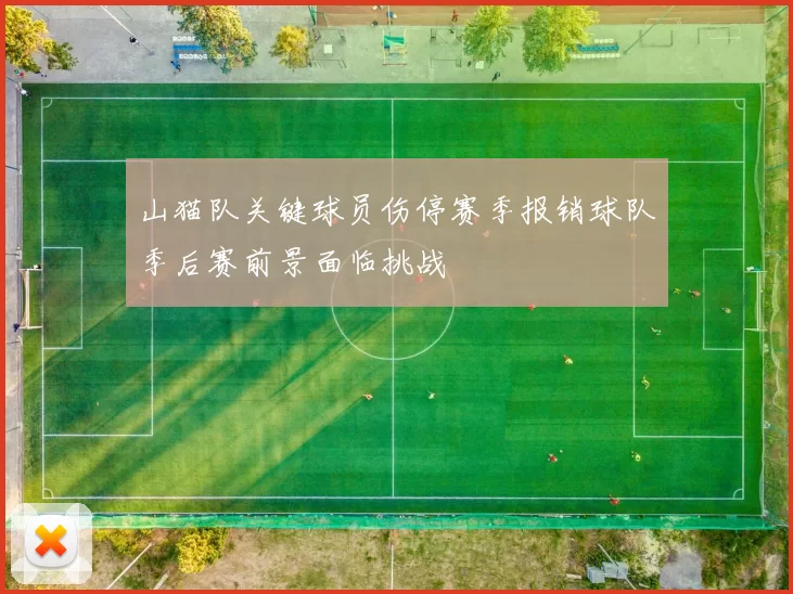 山猫队关键球员伤停赛季报销球队季后赛前景面临挑战